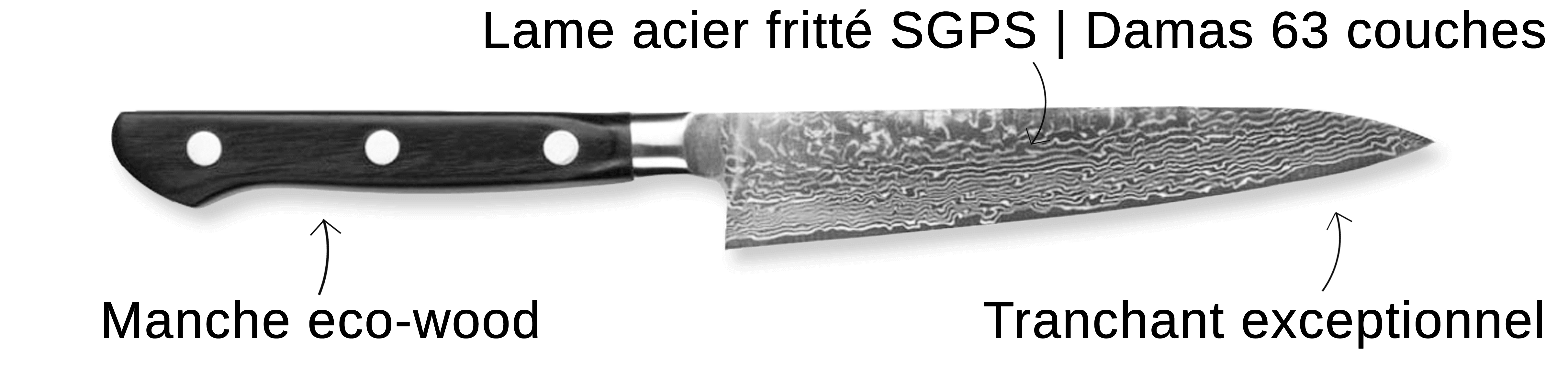 Découvrez le couteau Tojiro Damascus Pro SGPS ici